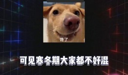 娱乐吃瓜呀,吃瓜群众的热门话题大盘点