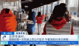 高峰食堂爆料事件视频大全,揭露校园食堂那些不为人知的故事