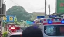 西湖爆料车祸最新消息视频,惊心动魄现场直击