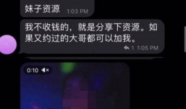 在美国发视频爆料违法吗,法律边界与言论自由的探讨