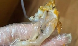 牛蛙最新爆料,揭秘娱乐圈幕后真相