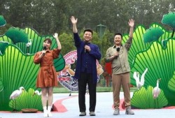 南阳爆料丑事最新消息视频,最新视频揭露惊人内幕