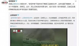 牛媒爆料事件视频大全,事件视频大全深度解析