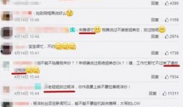 婉儿博主爆料视频大全集,揭秘幕后真相与精彩瞬间