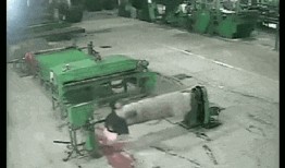 东海龙王爆料事件视频全集,揭秘神秘事件真相全记录