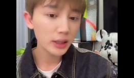 李朝网红爆料视频大全集,揭秘网络红人背后的故事