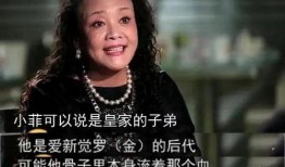 张兰爆料吸毒视频大全