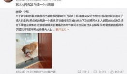 打架圈内人爆料犯法吗,揭秘打架圈内人爆料是否触犯法律